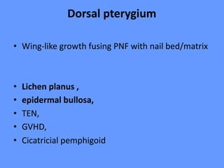 Dorsal pterygium
• Wing-like growth fusing PNF with nail bed/matrix
• Lichen planus ,
• epidermal bullosa,
• TEN,
• GVHD,
• Cicatricial pemphigoid
 
