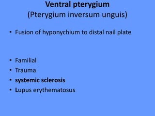 Ventral pterygium
(Pterygium inversum unguis)
• Fusion of hyponychium to distal nail plate
• Familial
• Trauma
• systemic sclerosis
• Lupus erythematosus
 