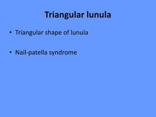 Triangular lunula
• Triangular shape of lunula
• Nail-patella syndrome
 