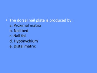 • The dorsal nail plate is produced by :
a. Proximal matrix
b. Nail bed
c. Nail fol
d. Hyponychium
e. Distal matrix
 