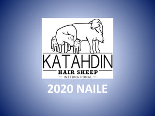 2020 NAILE
 