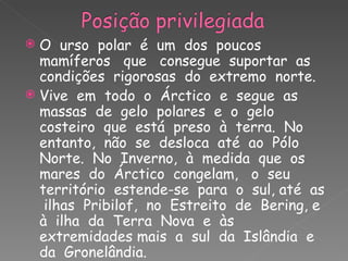 O  urso  polar  é  um  dos  poucos  mamíferos  que  consegue  suportar  as  condições  rigorosas  do  extremo  norte. Vive  em  todo  o  Árctico  e  segue  as  massas  de  gelo  polares  e  o  gelo  costeiro  que  está  preso  à  terra.  No  entanto,  não  se  desloca  até  ao  Pólo  Norte.  No  Inverno,  à  medida  que  os  mares  do  Árctico  congelam,  o  seu  território  estende-se  para  o  sul, até  as  ilhas  Pribilof,  no  Estreito  de  Bering, e  à  ilha  da  Terra  Nova  e  às  extremidades mais  a  sul  da  Islândia  e  da  Gronelândia. 