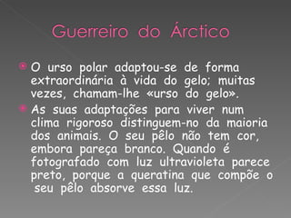 O  urso  polar  adaptou-se  de  forma  extraordinária  à  vida  do  gelo;  muitas  vezes,  chamam-lhe  «urso  do  gelo». As  suas  adaptações  para  viver  num  clima  rigoroso  distinguem-no  da  maioria  dos  animais.  O  seu  pêlo  não  tem  cor,  embora  pareça  branco.  Quando  é  fotografado  com  luz  ultravioleta  parece  preto,  porque  a  queratina  que  compõe  o  seu  pêlo  absorve  essa  luz.  
