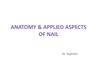 ANATOMY & APPLIED ASPECTS
OF NAIL
Dr. Yugandar
 