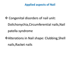 Anatomy of Nail And Applied Aspects | PPT
