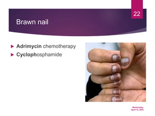 Wednesday,
April 12, 2023
22
Brawn nail
 Adrimycin chemotherapy
 Cyclophosphamide
 
