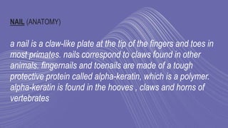 NAIL (ANATOMY)
a nail is a claw-like plate at the tip of the fingers and toes in
most primates. nails correspond to claws found in other
animals. fingernails and toenails are made of a tough
protective protein called alpha-keratin, which is a polymer.
alpha-keratin is found in the hooves , claws and horns of
vertebrates
 