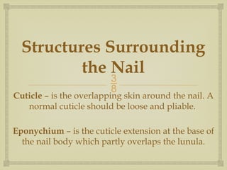 Nail Structure on humans that are i.pptx