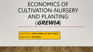 ECONOMICS OF
CULTIVATION-NURSERY
AND PLANTING
(GREWIA)
SUBMITTED BY : NAINA JASWAL (TH-2021-26-BIV)
SUBMITTED TO : DR. MANOJ
 