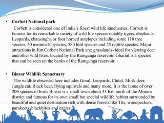 • Corbett National park
Corbett is considered one of India’s finest wild life sanctuaries. Corbett is
famous for its remarkable variety of wild life species notably tigers, elephants,
Leopards, chausingha or four horned antelopes including some 110 tree
species, 50 mammals' species, 580 bird species and 25 reptile species. Major
attractions in Jim Corbett National Park are: grasslands- ideal for viewing deer
and other wild lives, located by the Ramganga reservoir. Gharial is a species
that can be seen on the banks of the Ramganga reservoir.
• Binsar Wildlife Sanactuary
The wildlife observed here includes Goral, Leopards, Chital, Musk deer,
Jungle cat, Black bear, flying squirrels and many more. It is the home of over
200 species of birds Binsar is a small town about 33 Km north of the Almora
district and famous for its own small but special wildlife habitat surrounded by
beautiful and quiet destination rich with dense forests like Tits, woodpeckers,
parakeets, blackbirds and eagles.
 