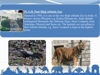 Pt. G.B. Pant High Altitude Zoo:
Opened in 1994, it is one of the two High altitude Zoo in India. It
houses various Phesants e.g. Kaleej Phesant etc.; high altitude
endangered Mammals like Siberian Tiger, Snow Leopard, Goat
Antelope- Ghooral and Serao etc. The animals are according to
their habitat altitude, e.g. Snow Leopard is kept on the highest
point.
 