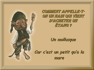 Comment appelle-t-on un nain qui vient d’acheter un étang ? Un mollusque Car c’est un petit qu’a la mare 