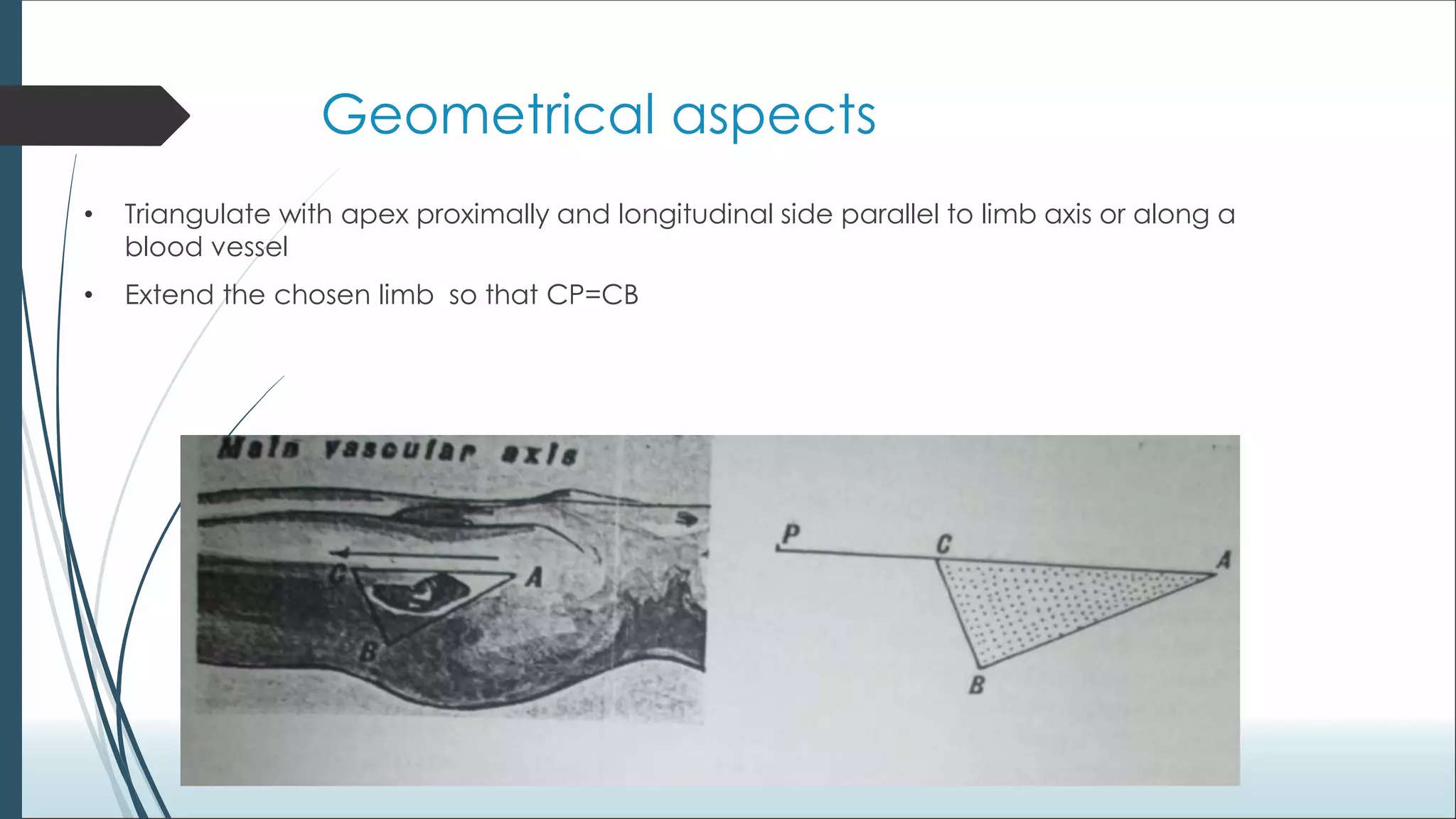 Biogeometry of flaps.ppt