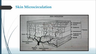 Biogeometry of flaps.ppt