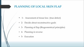 Biogeometry of flaps.ppt