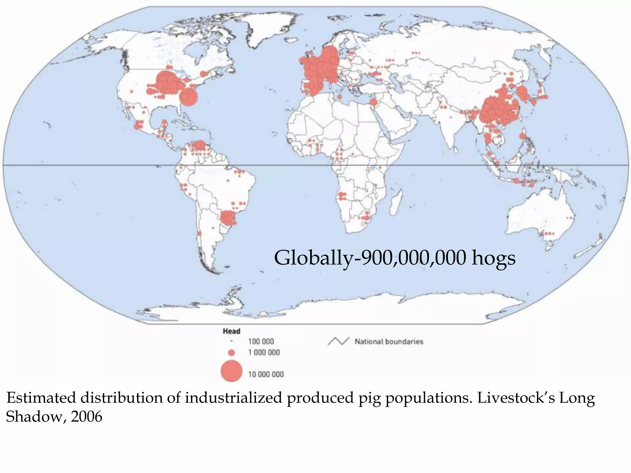 Globally-900,000,000 hogs




Estimated distribution of industrialized produced pig populations. Livestock’s Long
Shadow, 2006
 