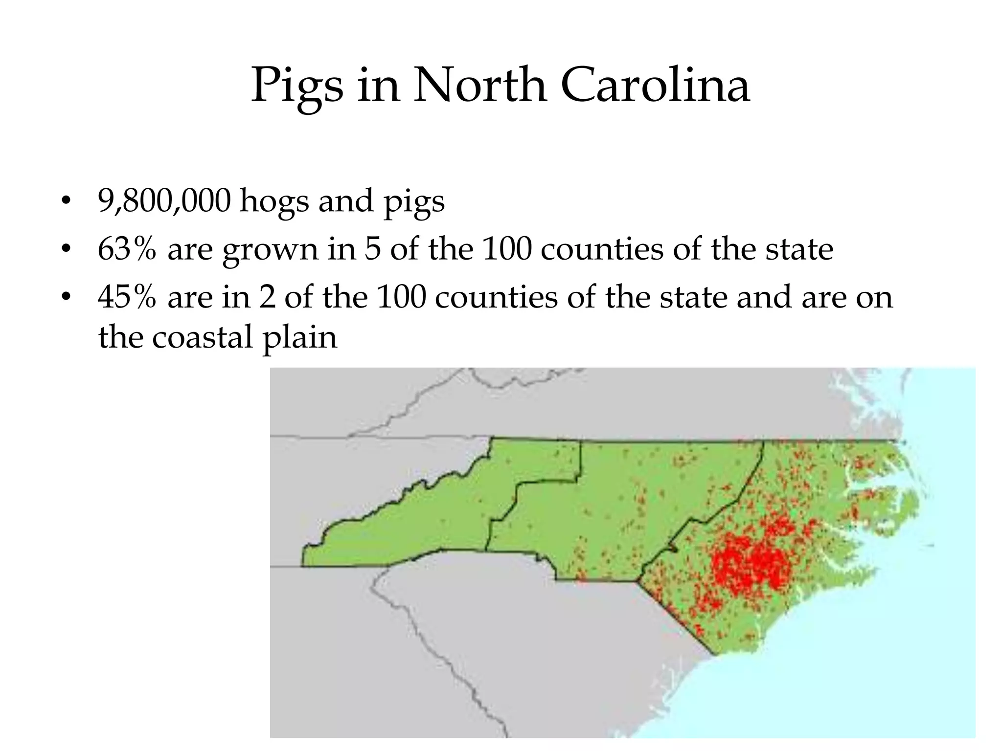 Pigs in North Carolina

• 9,800,000 hogs and pigs
• 63% are grown in 5 of the 100 counties of the state
• 45% are in 2 of the 100 counties of the state and are on
  the coastal plain
 