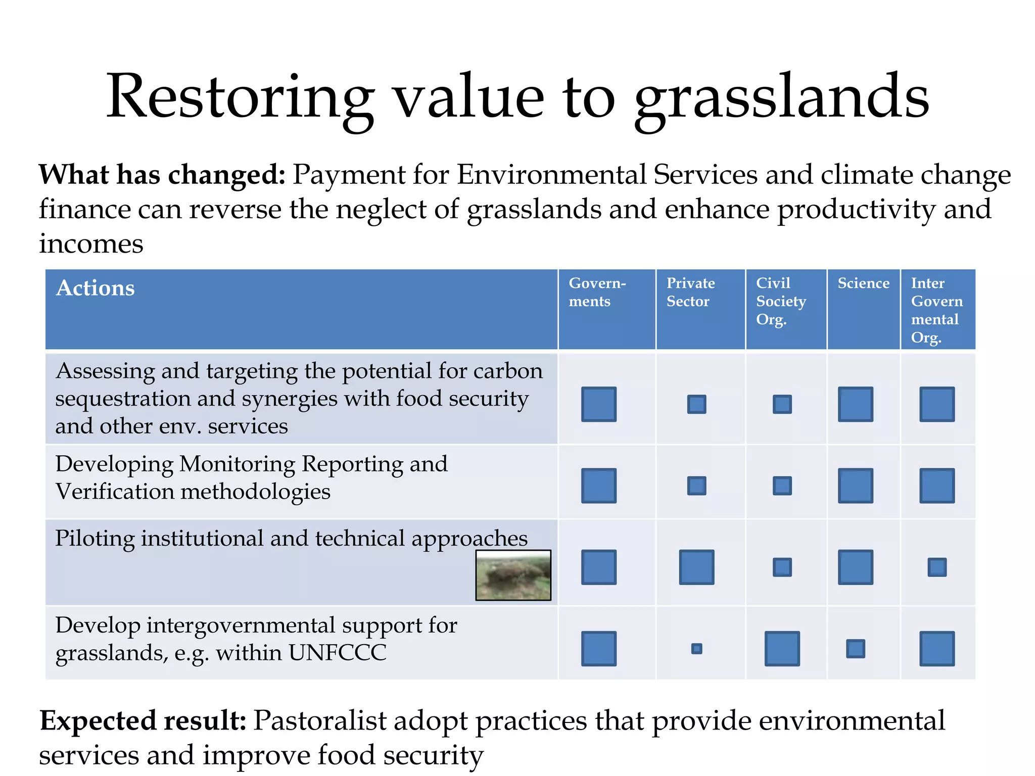Restoring value to grasslands
What has changed: Payment for Environmental Services and climate change
finance can reverse the neglect of grasslands and enhance productivity and
incomes
 Actions                                            Govern-   Private   Civil     Science   Inter
                                                    ments     Sector    Society             Govern
                                                                        Org.                mental
                                                                                            Org.

 Assessing and targeting the potential for carbon
 sequestration and synergies with food security
 and other env. services
 Developing Monitoring Reporting and
 Verification methodologies

 Piloting institutional and technical approaches


 Develop intergovernmental support for
 grasslands, e.g. within UNFCCC


Expected result: Pastoralist adopt practices that provide environmental
services and improve food security
 