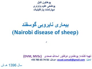 Nairobi disease of sheep