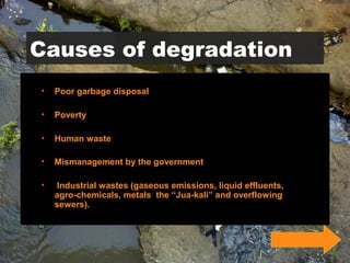 Causes of degradation
• Poor garbage disposal
• Poverty
• Human waste
• Mismanagement by the government
• Industrial wastes (gaseous emissions, liquid effluents,
agro-chemicals, metals the “Jua-kali” and overflowing
sewers).
 