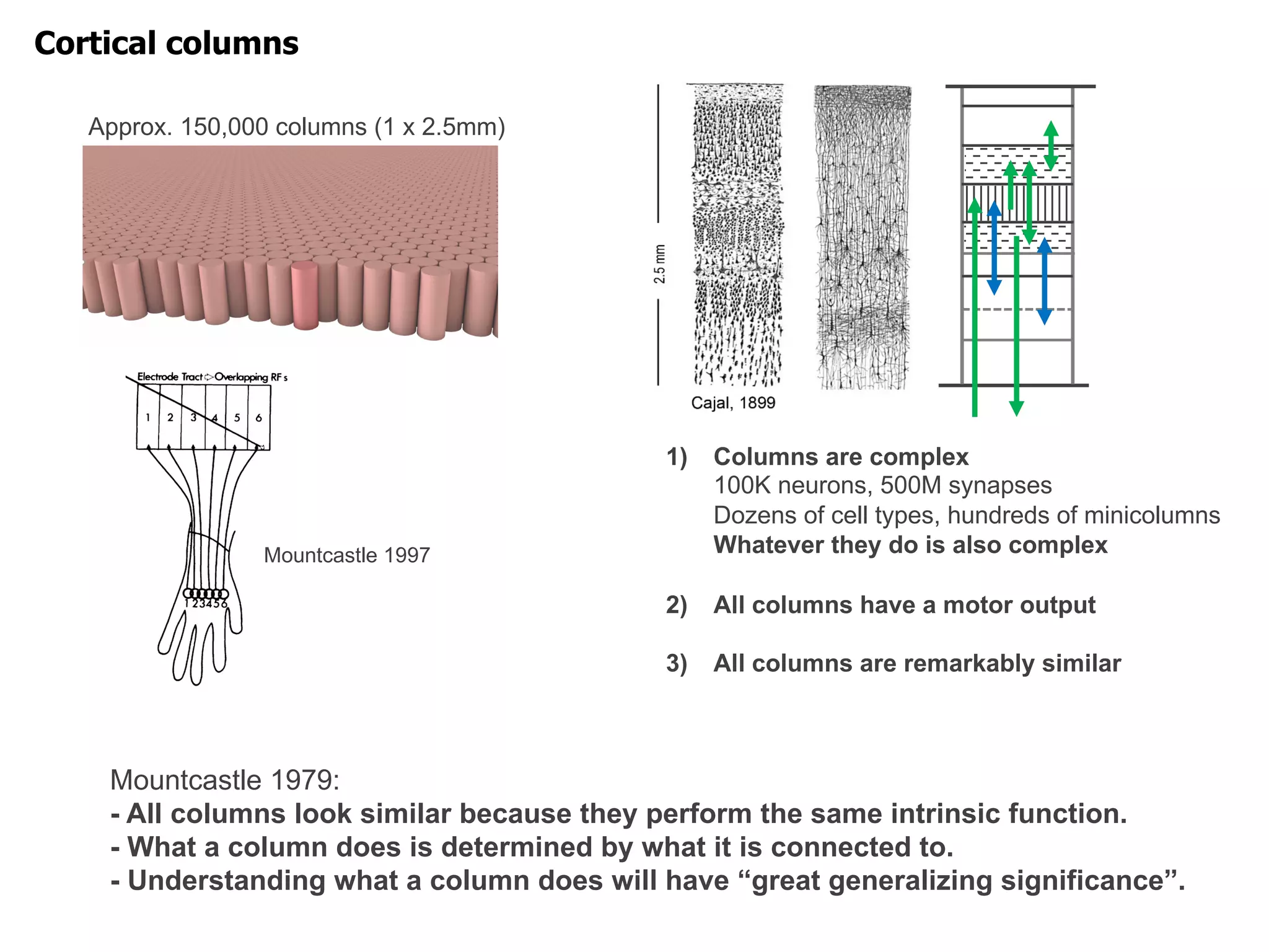 Cortical columns
Approx. 150,000 columns (1 x 2.5mm)
Mountcastle 1979:
- All columns look similar because they perform the same intrinsic function.
- What a column does is determined by what it is connected to.
- Understanding what a column does will have “great generalizing significance”.
1) Columns are complex
100K neurons, 500M synapses
Dozens of cell types, hundreds of minicolumns
Whatever they do is also complex
2) All columns have a motor output
3) All columns are remarkably similar
Mountcastle 1997
 