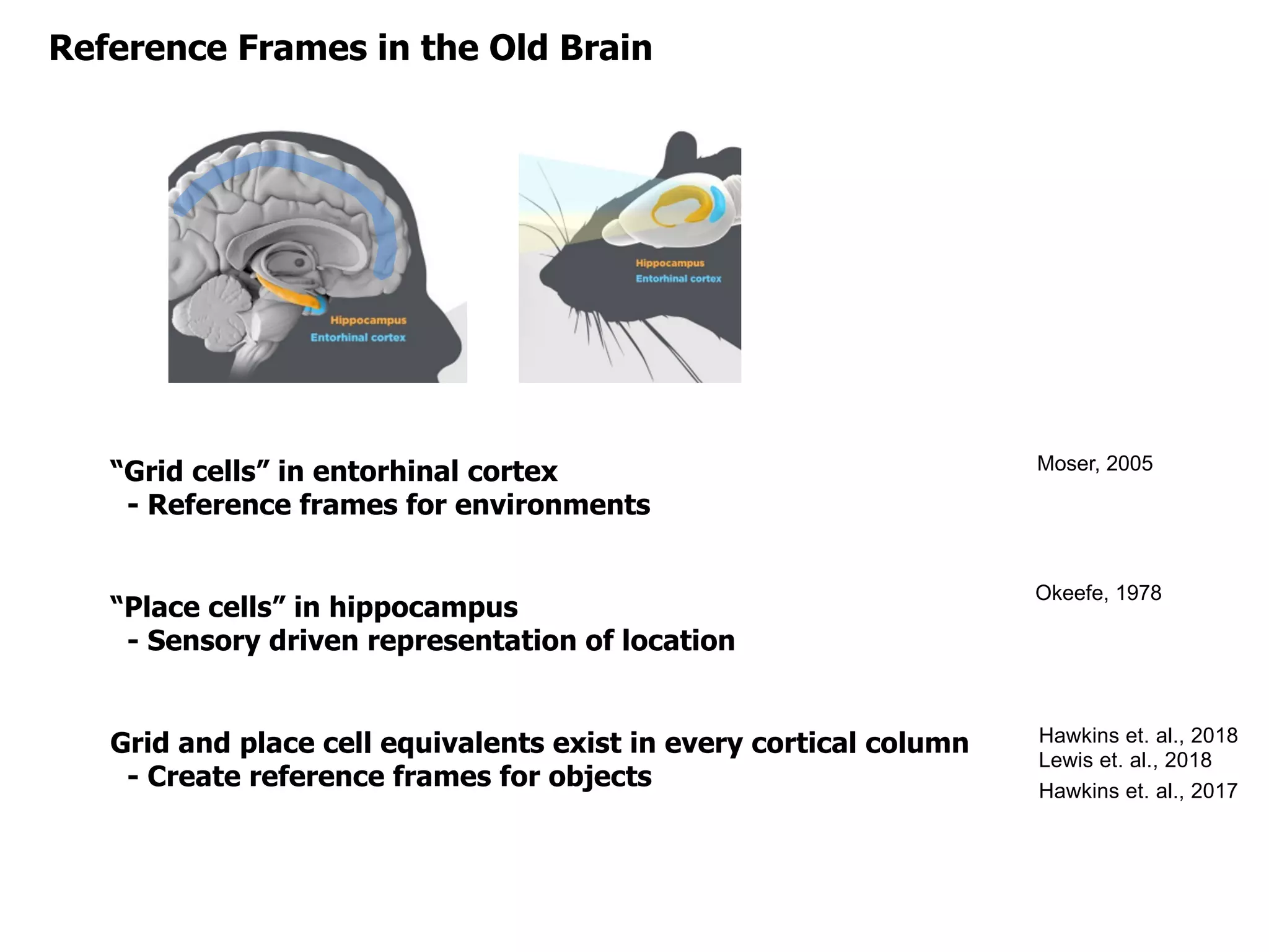 Reference Frames in the Old Brain
“Grid cells” in entorhinal cortex
- Reference frames for environments
“Place cells” in hippocampus
- Sensory driven representation of location
Grid and place cell equivalents exist in every cortical column
- Create reference frames for objects
Moser, 2005
Hawkins et. al., 2018
Lewis et. al., 2018
Hawkins et. al., 2017
Okeefe, 1978
 