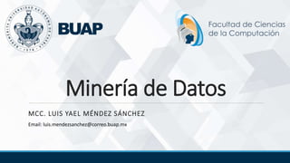 Minería de Datos
MCC. LUIS YAEL MÉNDEZ SÁNCHEZ
Email: luis.mendezsanchez@correo.buap.mx
 