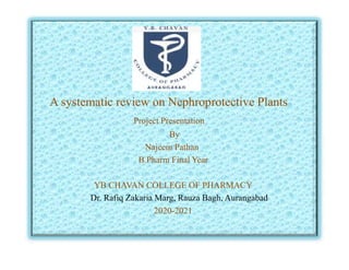 A systematic review on Nephroprotective Plants
Project Presentation
By
By
Najeem Pathan
B.Pharm Final Year
YB CHAVAN COLLEGE OF PHARMACY
Dr. Rafiq Zakaria Marg, Rauza Bagh, Aurangabad
2020-2021
 