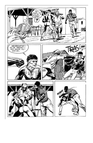 Na Au - MN - LMS 943