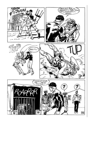 Na Au - MN - LMS 943