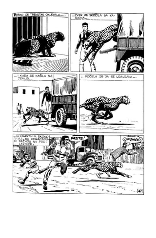 Na Au - MN - LMS 943