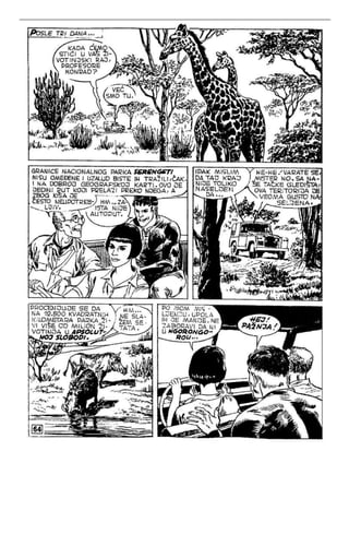 Na Au - MN - LMS 943