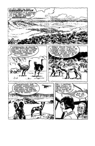 Na Au - MN - LMS 943