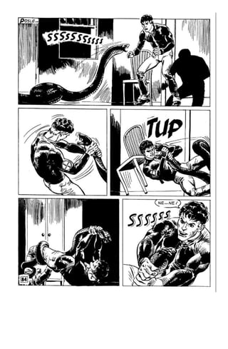 Na Au - MN - LMS 943