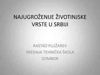 NAJUGROŽENIJE ŽIVOTINJSKE
VRSTE U SRBIJI

RASTKO PLUŽAREV
SREDNJA TEHNIČKA ŠKOLA
SOMBOR

 