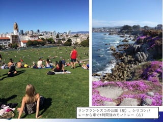 サンフランシスコの公園（左）、シリコンバ
レーから車で1時間強のモントレー（右）
 