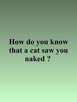 How do you know that a cat saw you naked ?   