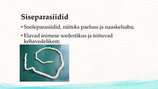 Siseparasiidid
• Sooleparasiidid, näiteks paeluss ja naaskelsaba;
• Elavad inimese soolestikus ja toituvad
kehavedelikest;
 