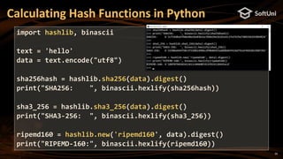 26
Calculating Hash Functions in Python
import hashlib, binascii
text = 'hello'
data = text.encode("utf8")
sha256hash = hashlib.sha256(data).digest()
print("SHA256: ", binascii.hexlify(sha256hash))
sha3_256 = hashlib.sha3_256(data).digest()
print("SHA3-256: ", binascii.hexlify(sha3_256))
ripemd160 = hashlib.new('ripemd160', data).digest()
print("RIPEMD-160:", binascii.hexlify(ripemd160))
 