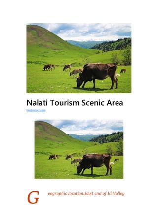G
Nalati Tourism Scenic Area
eographic location:East end of Ili Valley
hanjourney.com
 
