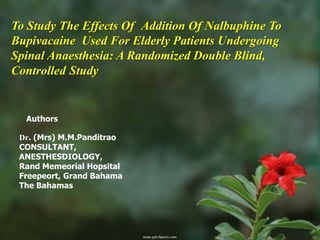 To Study The Effects Of Addition Of Nalbuphine To
Bupivacaine Used For Elderly Patients Undergoing
Spinal Anaesthesia: A Randomized Double Blind,
Controlled Study


  Authors

 Dr. (Mrs) M.M.Panditrao
 CONSULTANT,
 ANESTHESDIOLOGY,
 Rand Memeorial Hopsital
 Freepeort, Grand Bahama
 The Bahamas
 