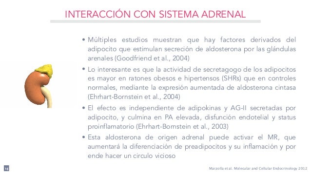 Molecular partners ag ipo