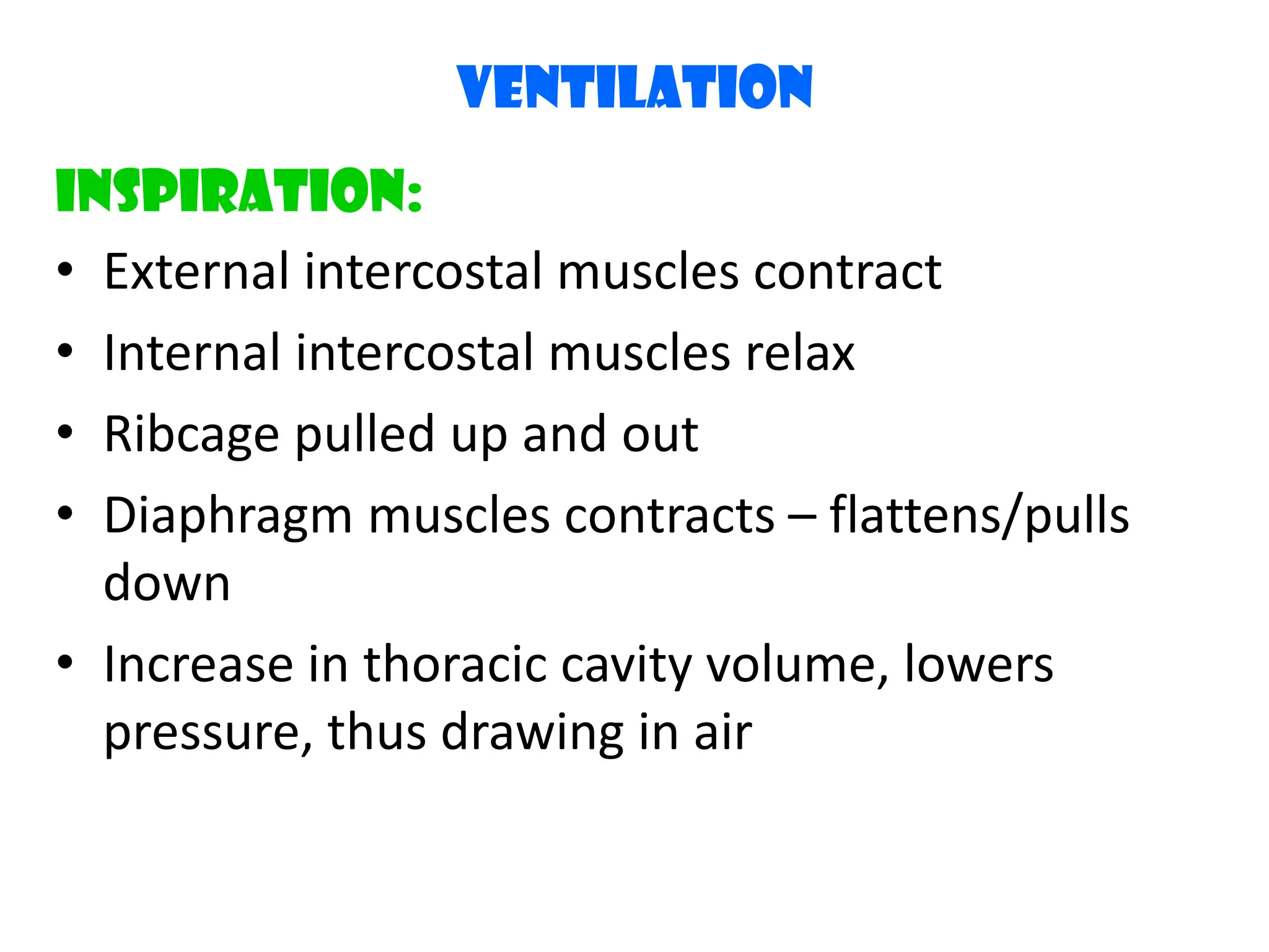 Ventilation
Inspiration:
&bull; External intercostal muscles contract
&bull; Internal intercostal muscles relax
&bull; Ribcage pulled up and out
&bull; Diaphragm muscles contracts &ndash; flattens/pulls
down
&bull; Increase in thoracic cavity volume, lowers
pressure, thus drawing in air
 