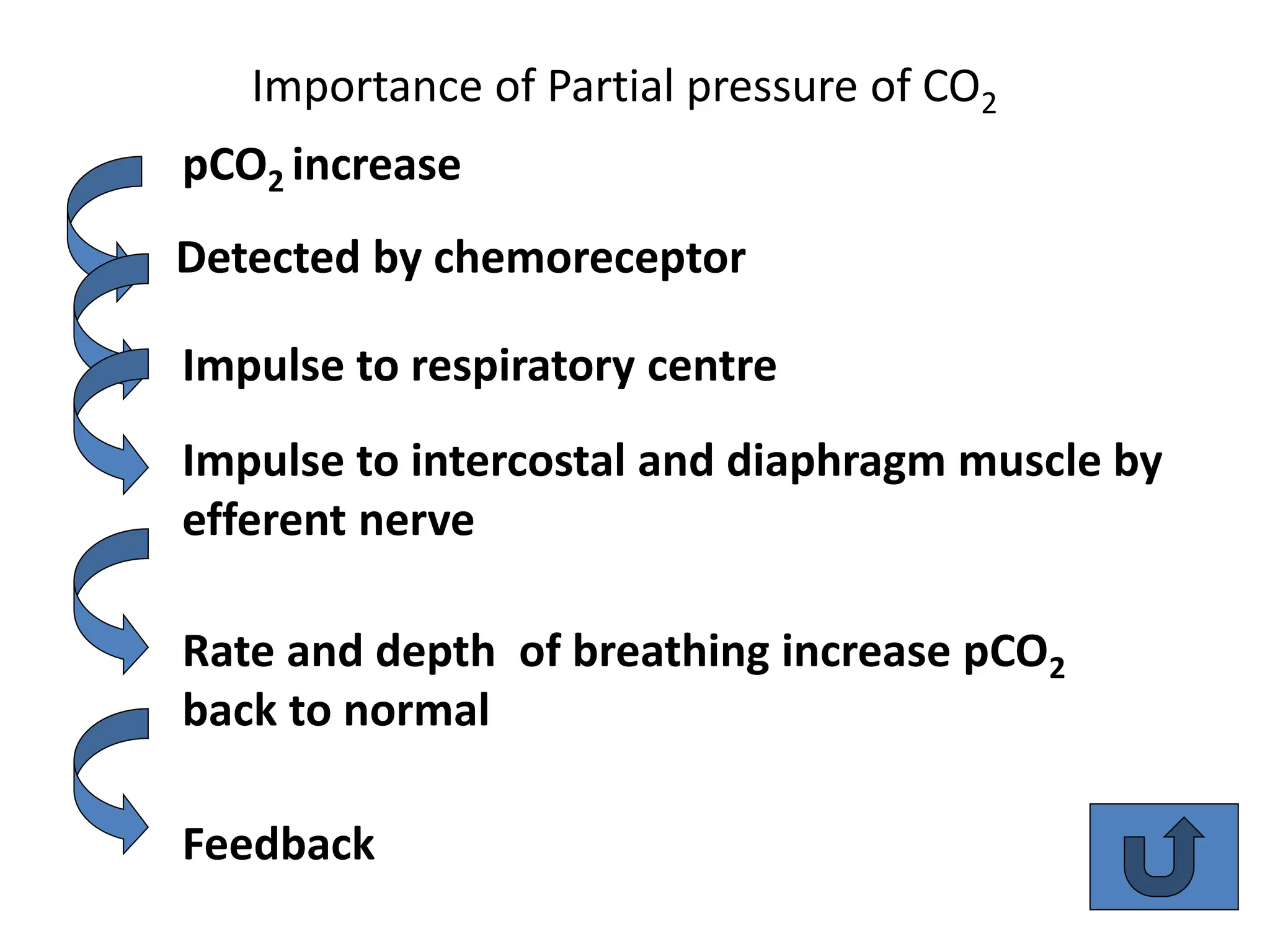 Importance of Partial pressure of CO2
pCO2 increase
Detected by chemoreceptor
Impulse to respiratory centre
Impulse to intercostal and diaphragm muscle by
efferent nerve
Rate and depth of breathing increase pCO2
back to normal
Feedback
 