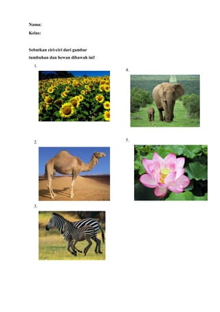 Nama:
Kelas:
Sebutkan ciri-ciri dari gambar
tumbuhan dan hewan dibawah ini!
1.
2.
3.
4.
5.
 