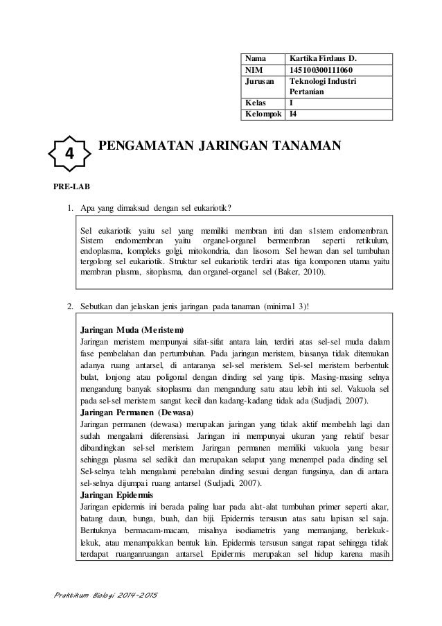 Laporan Praktikum  Biologi  Pengamatan Struktur Jaringan  