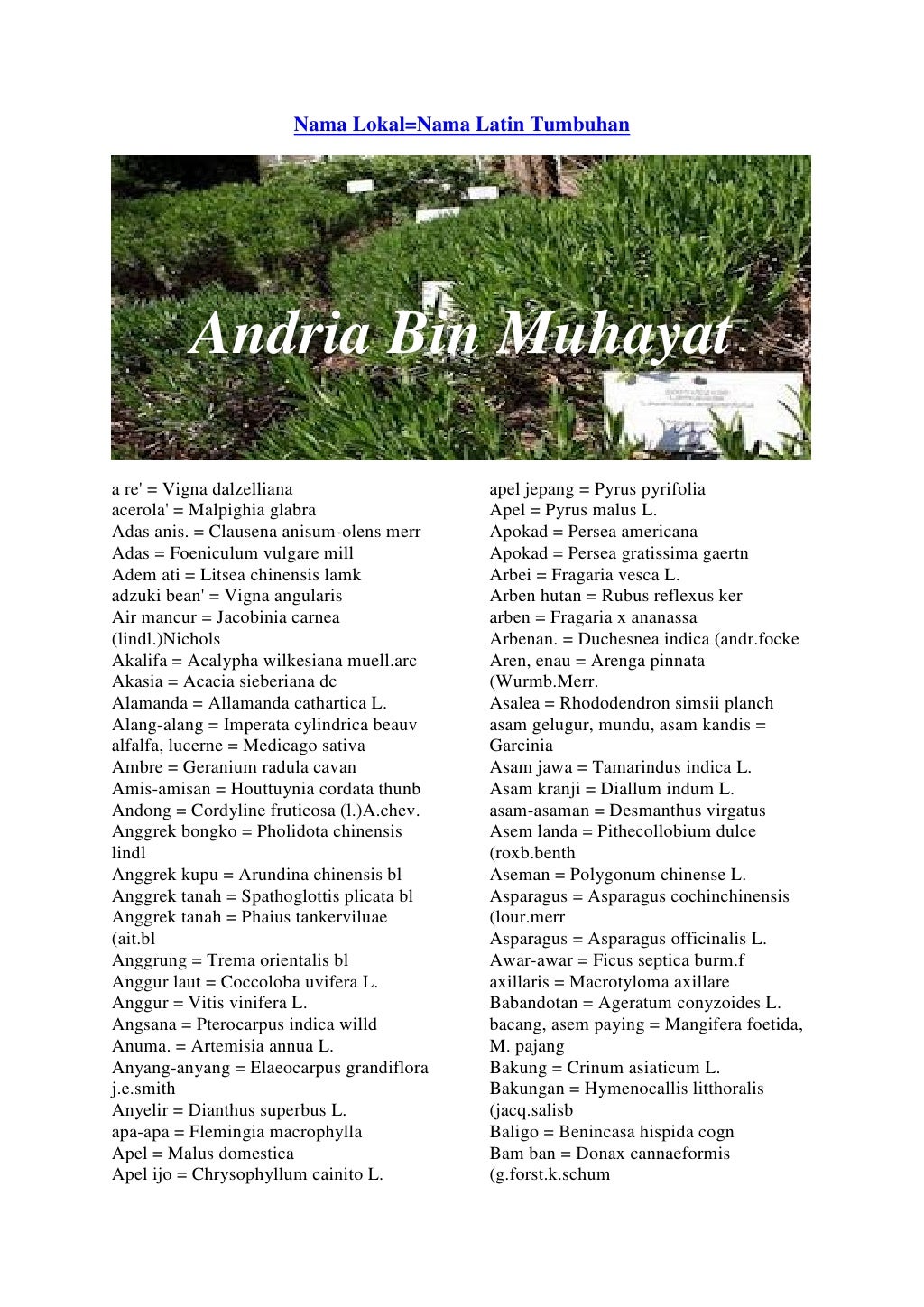  Nama  nama  latin  tumbuhan andria