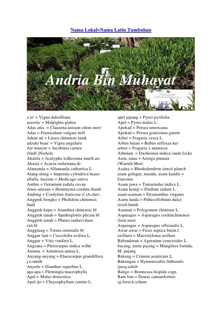  Nama  nama latin tumbuhan  andria