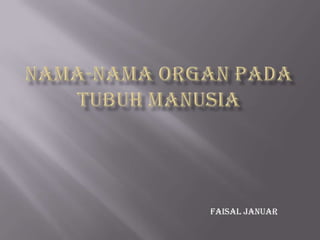 NAMA-NAMA ORGAN PADA TUBUH MANUSIAFaisal Januar