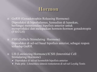 HormonGnRH (Gonadotrophin Releasing Hormone)Diproduksidihipothalamus, kemudiandilepaskan, berfungsimenstimulasihipefisis anterior untukmemproduksidanmelepaskanhormon-hormongonadotropin (FSH/LH)FSH (Follicle Stimulating  Hormone)Diproduksidisel-sel basal hipofisis anterior, sebagairesponterhadapGnRH.LH (Luteinizing Hormone)/ICSH (Interstitial Cell Stimulating Hormone)Diproduksidisel-selkromofobhipofisis anteriorPadapria : Lhmemicusintesistostesterondisel-selLeydig Testis